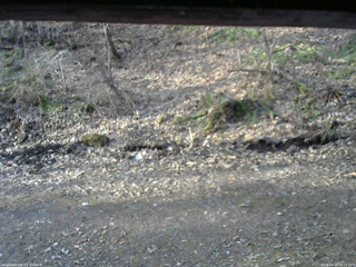 長野県菅平高原 ゆたか山荘 東側(坂下) 2026/04/15 06:15
