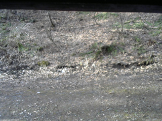 長野県菅平高原 ゆたか山荘 東側(坂下) 2026/04/15 06:30