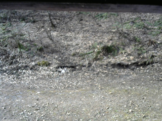 長野県菅平高原 ゆたか山荘 東側(坂下) 2026/04/15 07:45