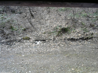 長野県菅平高原 ゆたか山荘 東側(坂下) 2026/04/15 09:30
