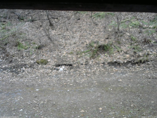 長野県菅平高原 ゆたか山荘 東側(坂下) 2026/04/15 11:15