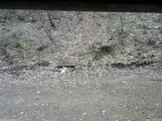 長野県菅平高原 ゆたか山荘 東側(坂下) 2026/04/15 12:00