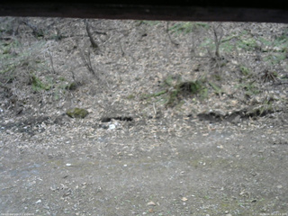 長野県菅平高原 ゆたか山荘 東側(坂下) 2026/04/15 12:15