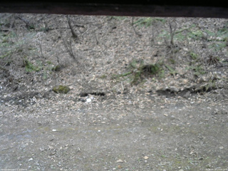 長野県菅平高原 ゆたか山荘 東側(坂下) 2026/04/15 13:00