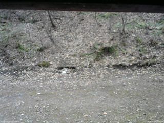 長野県菅平高原 ゆたか山荘 東側(坂下) 2026/04/15 13:30