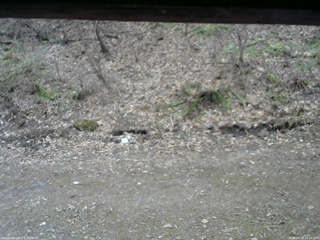 長野県菅平高原 ゆたか山荘 東側(坂下) 2026/04/15 14:15