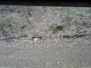 長野県菅平高原 ゆたか山荘 東側(坂下) 2026/04/15 15:00