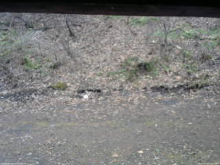 長野県菅平高原 ゆたか山荘 東側(坂下) 2026/04/15 15:15