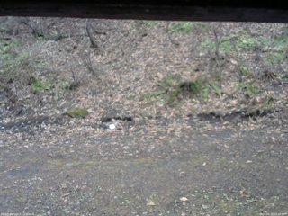 長野県菅平高原 ゆたか山荘 東側(坂下) 2026/04/15 15:30