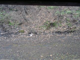 長野県菅平高原 ゆたか山荘 東側(坂下) 2026/04/15 16:00