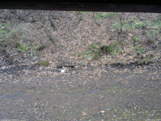 長野県菅平高原 ゆたか山荘 東側(坂下) 2026/04/15 16:15