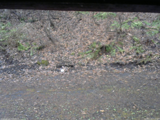 長野県菅平高原 ゆたか山荘 東側(坂下) 2026/04/15 17:00