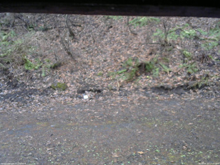 長野県菅平高原 ゆたか山荘 東側(坂下) 2026/04/15 17:45