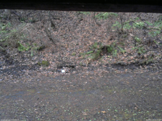 長野県菅平高原 ゆたか山荘 東側(坂下) 2026/04/15 18:00