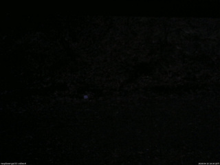 長野県菅平高原 ゆたか山荘 東側(坂下) 2026/04/15 18:30