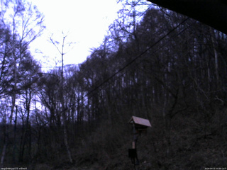 長野県菅平高原 ゆたか山荘 温度計 2026/04/15 05:00