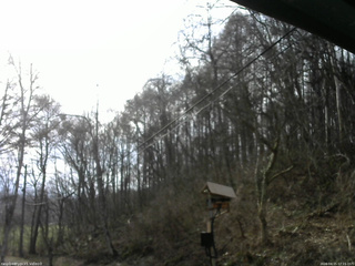 長野県菅平高原 ゆたか山荘 温度計 2026/04/15 07:15