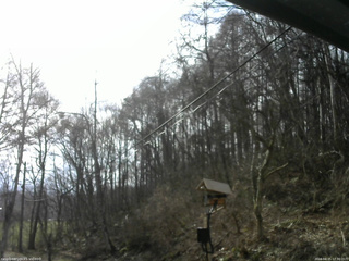 長野県菅平高原 ゆたか山荘 温度計 2026/04/15 07:30