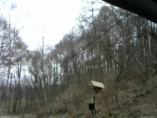 長野県菅平高原 ゆたか山荘 温度計 2026/04/15 08:45