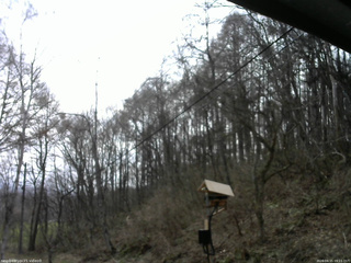 長野県菅平高原 ゆたか山荘 温度計 2026/04/15 09:15