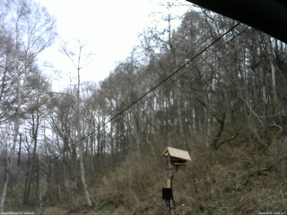 長野県菅平高原 ゆたか山荘 温度計 2026/04/15 12:45