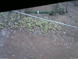 長野県菅平高原 ゆたか山荘 駐車場 2026/04/15 05:15