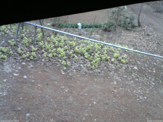 長野県菅平高原 ゆたか山荘 駐車場 2026/04/15 06:00