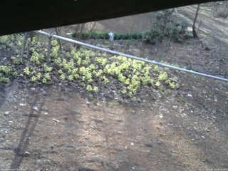 長野県菅平高原 ゆたか山荘 駐車場 2026/04/15 06:15