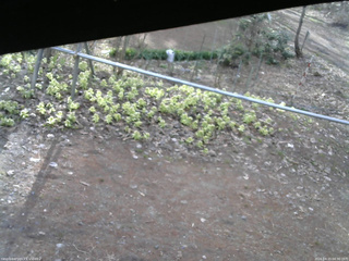 長野県菅平高原 ゆたか山荘 駐車場 2026/04/15 06:30