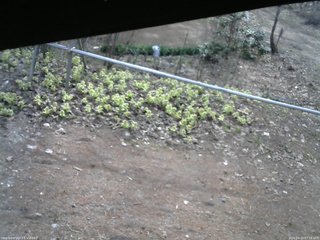 長野県菅平高原 ゆたか山荘 駐車場 2026/04/15 07:15