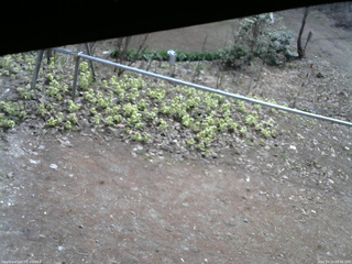 長野県菅平高原 ゆたか山荘 駐車場 2026/04/15 09:30