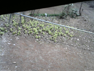 長野県菅平高原 ゆたか山荘 駐車場 2026/04/15 10:00