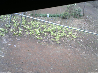 長野県菅平高原 ゆたか山荘 駐車場 2026/04/15 15:00