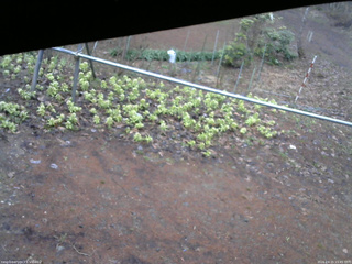 長野県菅平高原 ゆたか山荘 駐車場 2026/04/15 15:45