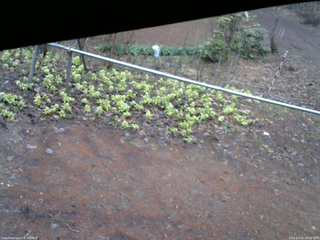 長野県菅平高原 ゆたか山荘 駐車場 2026/04/15 16:30