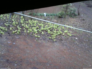 長野県菅平高原 ゆたか山荘 駐車場 2026/04/15 17:30