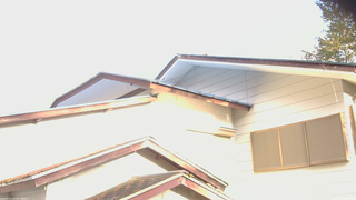 長野県菅平高原 ゆたか山荘 駐車場奥 2026/04/15 06:15