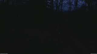 長野県菅平高原 ゆたか山荘 坂上 2026/04/15 05:00