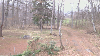 長野県菅平高原 ゆたか山荘 坂上 2026/04/15 05:45