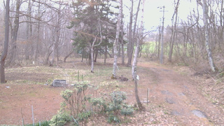 長野県菅平高原 ゆたか山荘 坂上 2026/04/15 06:00