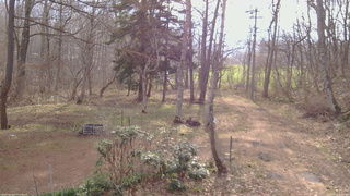 長野県菅平高原 ゆたか山荘 坂上 2026/04/15 07:15