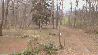 長野県菅平高原 ゆたか山荘 坂上 2026/04/15 08:30