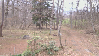 長野県菅平高原 ゆたか山荘 坂上 2026/04/15 09:00