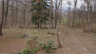 長野県菅平高原 ゆたか山荘 坂上 2026/04/15 10:45