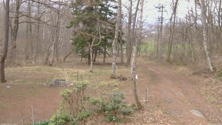 長野県菅平高原 ゆたか山荘 坂上 2026/04/15 11:15