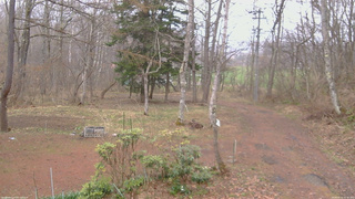 長野県菅平高原 ゆたか山荘 坂上 2026/04/15 15:30
