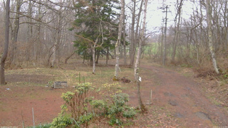 長野県菅平高原 ゆたか山荘 坂上 2026/04/15 16:30