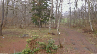 長野県菅平高原 ゆたか山荘 坂上 2026/04/15 16:45