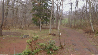 長野県菅平高原 ゆたか山荘 坂上 2026/04/15 17:30