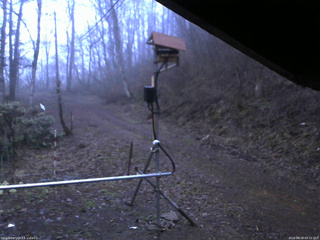 長野県菅平高原 ゆたか山荘 南側 2026/04/16 05:15